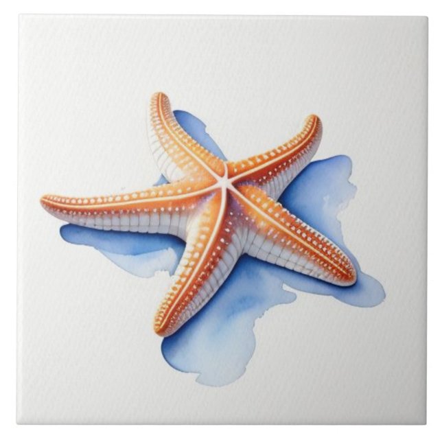 Starfish and Blue Silhouette (Frente)