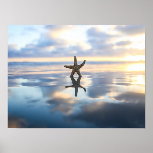 Starfish at the beach photo poster print (Frente)