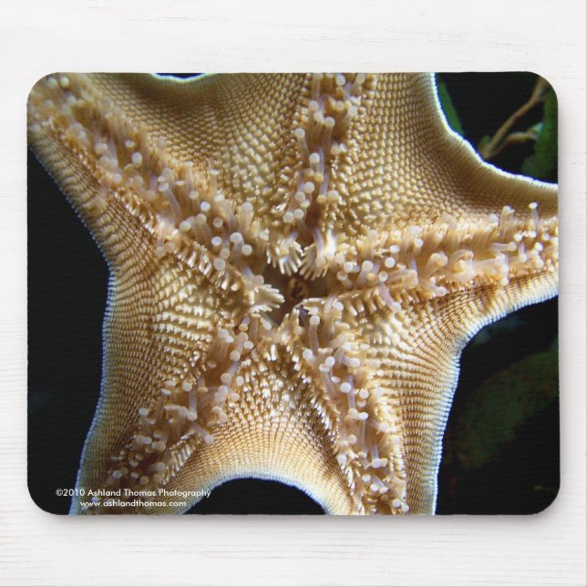 Starfish Mousepad (Frente)