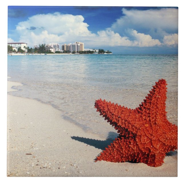Starfish, Nassau, Bahamas (Frente)