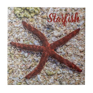 Starfish Ocean Vintage Beach Retro Souvenir