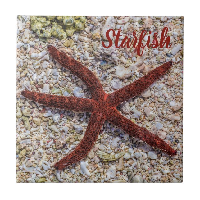 Starfish Ocean Vintage Beach Retro Souvenir (Frente)