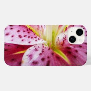 Stargazer Lily Bright Magenta Floral