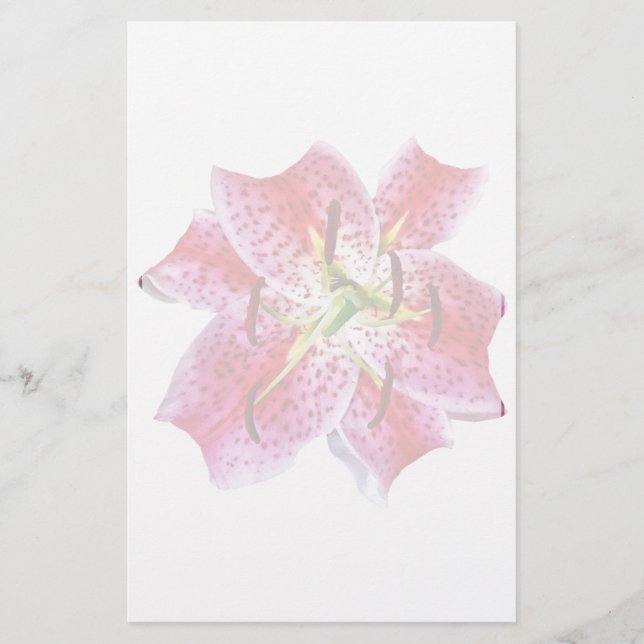 Stargazer Lily Closeup (Frente)