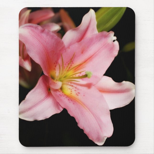 "Stargazer" Mousepads (Frente)