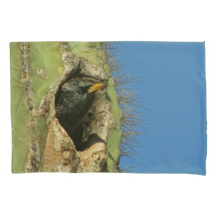 Starling em Saguaro Cactus Foto do Pássaro Sudoes
