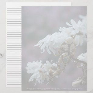 Starry Magnolia 5780