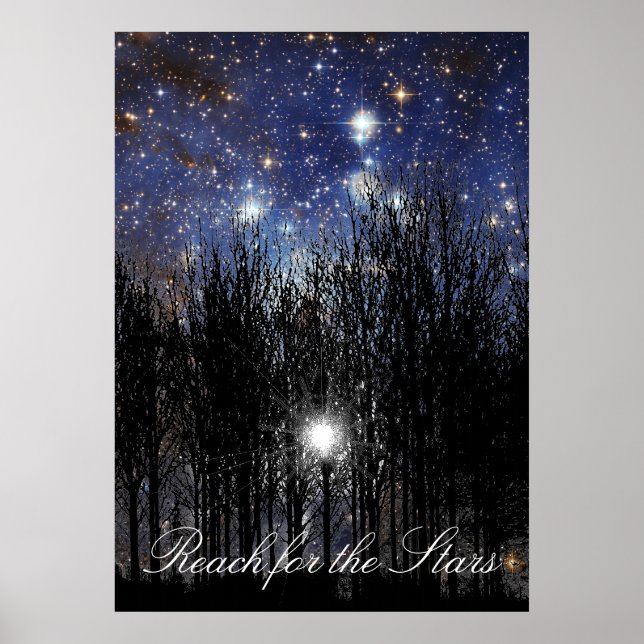 Starscape & Trees: Reach - Poster (Frente)