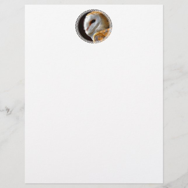 STATIONERY OWLS (Frente)