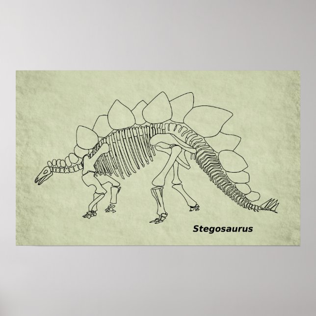 Stegosaurus Skeleton Poster (Frente)