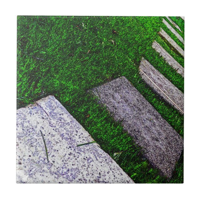 Stepones por Shirley Taylor (Frente)