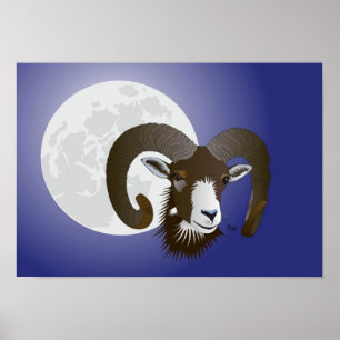 Sternzeichen - carneiro poster