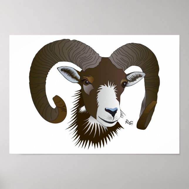 Sternzeichen - Poster de Largura (Frente)