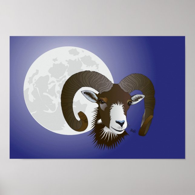 Sternzeichen - Poster de Largura (Frente)