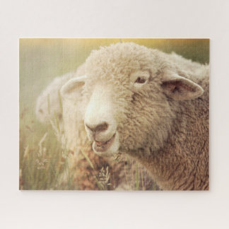 Stewie Jigsee Quebra-cabeça