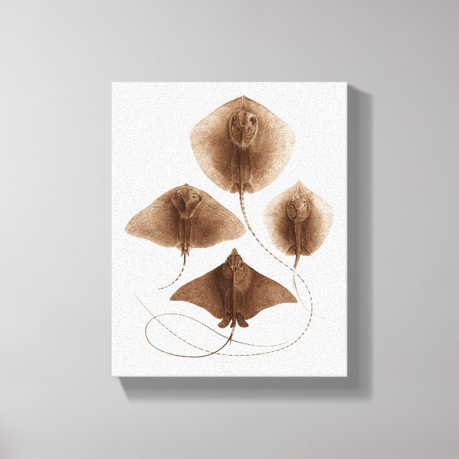 Stingray nº 2 Canvas Wall Art (Frente)