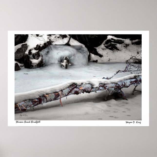 Stinson Brook Birchfall Poster (Frente)