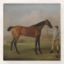 Stone Coaster Equestre