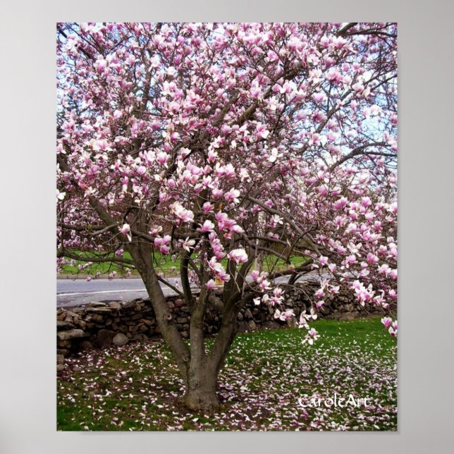 Stone Magnolias Art Poster (Frente)