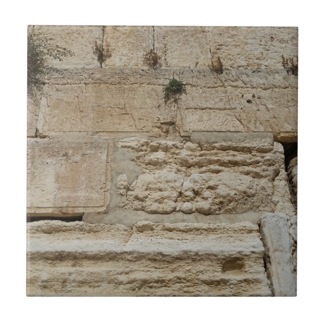 Stones Kotel Western Wall Jerusalem (Frente)