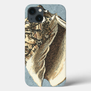 Stonewashed Conch Shell
