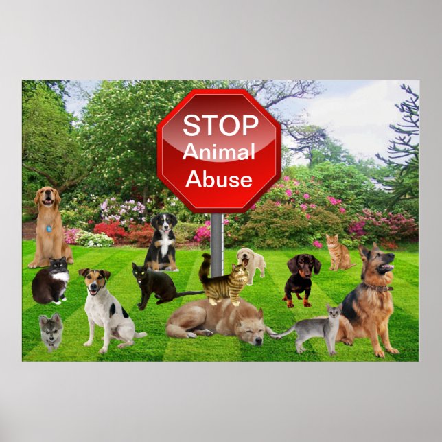 Stop Animal Abuse Poster (Frente)