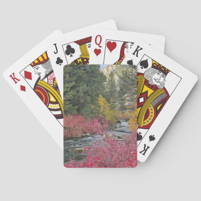 Stream Blooms Cartas de Baralho (Verso)