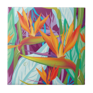 Strelitzia