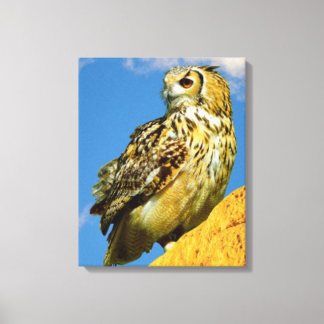 Stretched Canvas Print (Frente)