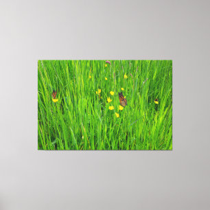 Stretched Canvas Print