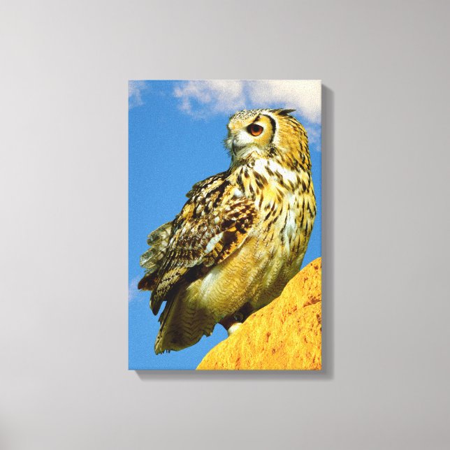 Stretched Canvas Print (Frente)