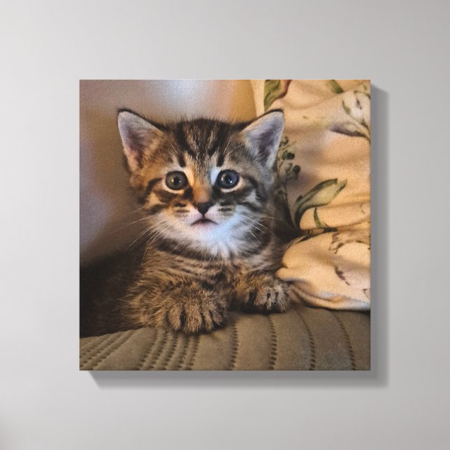 Stretched Canvas Print (Frente)