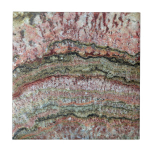 Stromatolites fossilizado