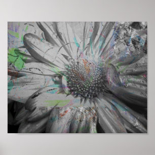 "Sua Flor Diária" pôster 8 x 10 ou download