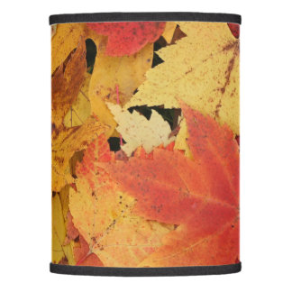 Sua Forma Personalizada Da Lâmpada (Apenas)