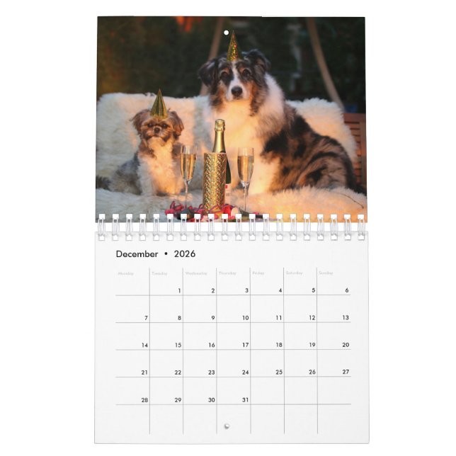 Sua Foto Aqui - Calendário de Fotografias de Cacho