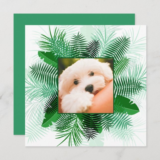 Sua foto em um convite de quadros Palm Leaf (Frente/Verso)