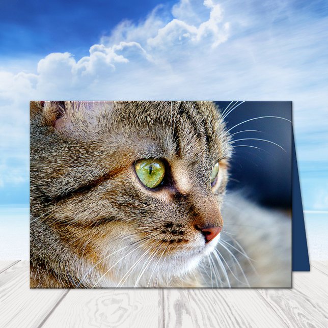 Sua Foto Gato Condolências Simpatia Cartão de Saud (A beautiful cat sympathy card featuring your own photo (optional) with custom comforting texts)