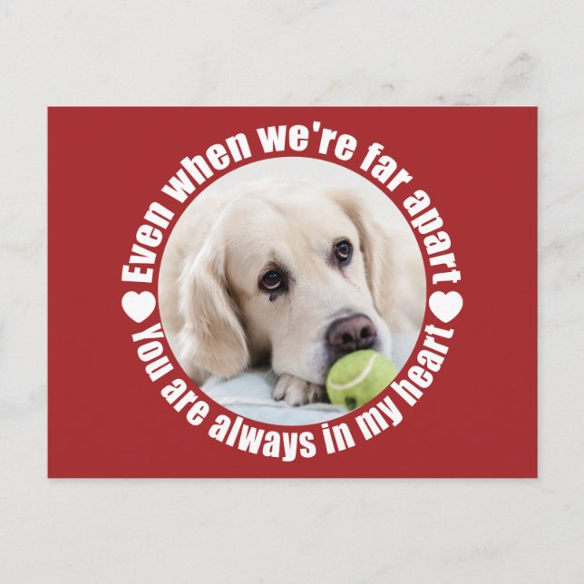 Sua FOTO Longe Distante Ame cartão postal personal (Frente)