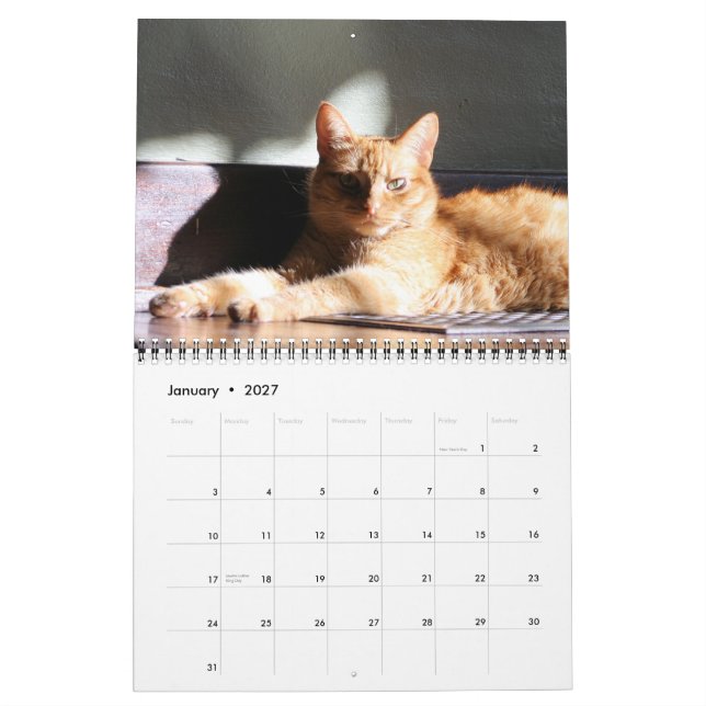 Sua majestade o calendário do gato 2012 (Jan 2027)