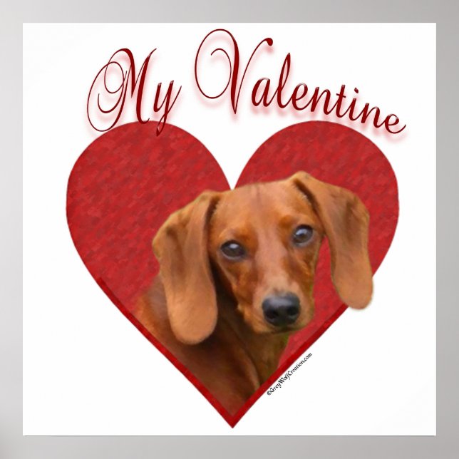 Suave Dachshund Meu Poster Namorados (Frente)