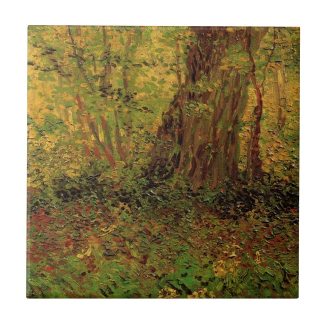Sub-bosque de Vincent van Gogh (Frente)