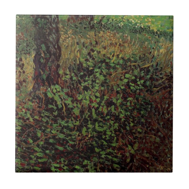 Sub-bosque por Vincent van Gogh (Frente)