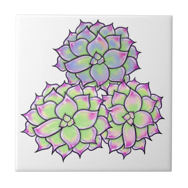 Succulent Bloom (Frente)