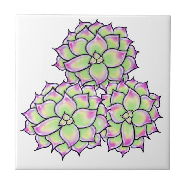 Succulent Bloom (Frente)