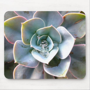 Succulents coloridos Mousepad #3