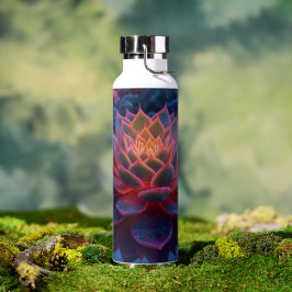 Suculente Mesmerizante na Luz da Noite Maciça