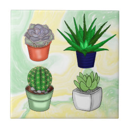 Suculentes desenhados à mão