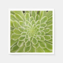 Suculentos guardanapos de papel