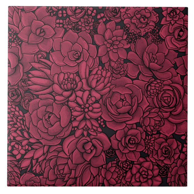 Suculentos na Viva Magenta - Cor do Ano 2023 (Frente)